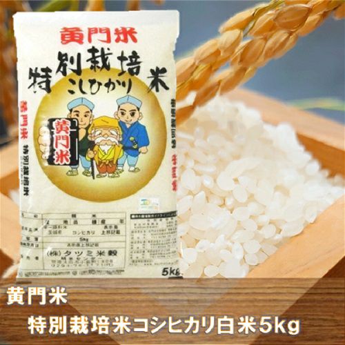 ふくみさん用　茨城県産 コシヒカリ 9kg+5Kg さ自然農 令和6年産】茨城県産コシヒカリ10kg（5kg×2袋）精米JA茨城むつみ