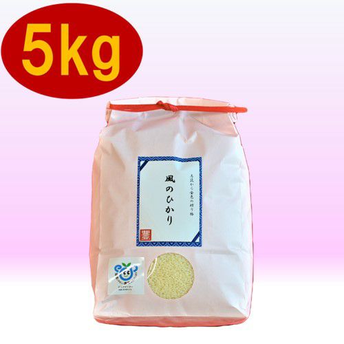 茨城県産 コシヒカリ5kg 持ちこたえ